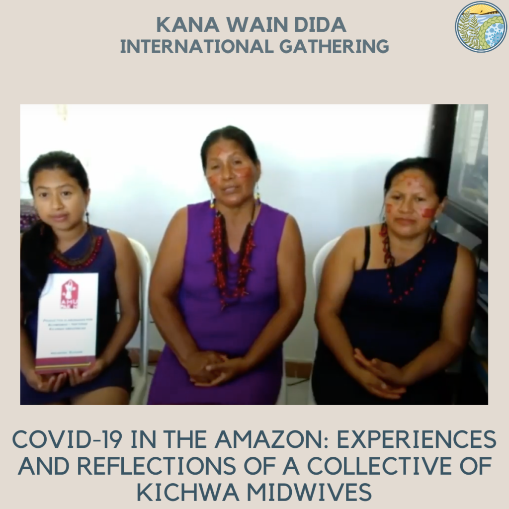Covid-19 in the Amazon: experiences and reflections of a collective of Kichwa midwives